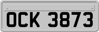 OCK3873