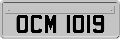 OCM1019