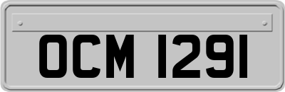 OCM1291