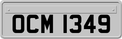 OCM1349