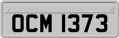 OCM1373