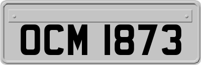 OCM1873