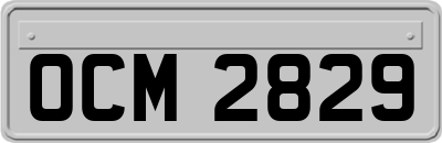 OCM2829