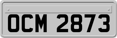 OCM2873