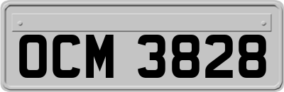 OCM3828