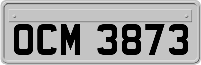 OCM3873