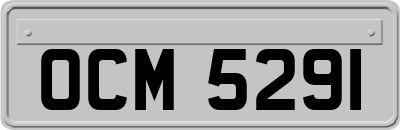 OCM5291