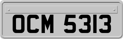 OCM5313