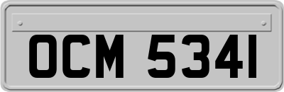 OCM5341