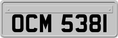 OCM5381