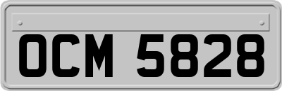 OCM5828