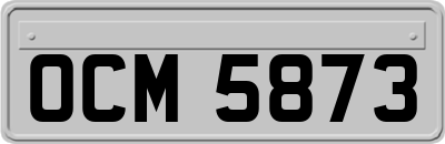 OCM5873