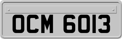 OCM6013