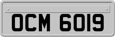OCM6019