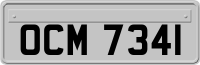 OCM7341