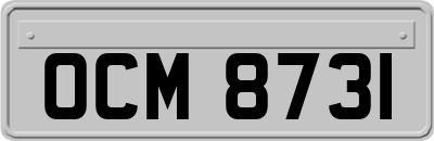 OCM8731