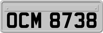 OCM8738