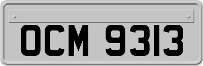 OCM9313