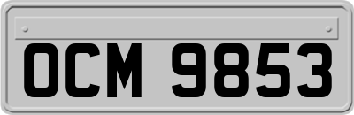OCM9853