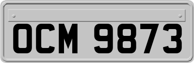 OCM9873