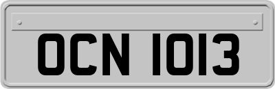 OCN1013