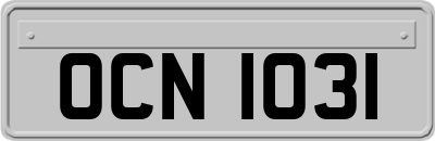 OCN1031