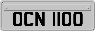 OCN1100