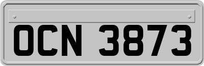 OCN3873