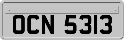 OCN5313
