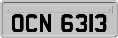 OCN6313