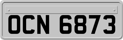 OCN6873