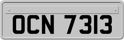 OCN7313