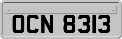 OCN8313