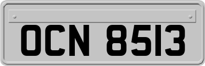 OCN8513