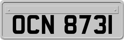 OCN8731