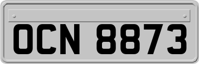 OCN8873