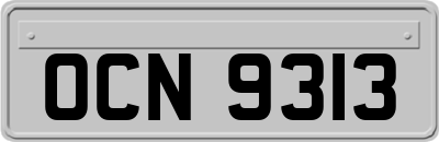 OCN9313