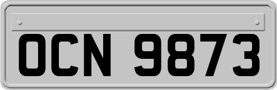 OCN9873