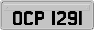 OCP1291