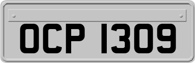 OCP1309
