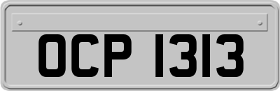 OCP1313