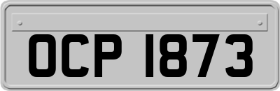 OCP1873