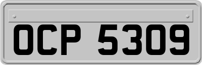 OCP5309