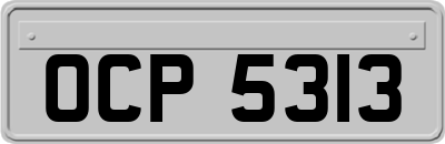 OCP5313