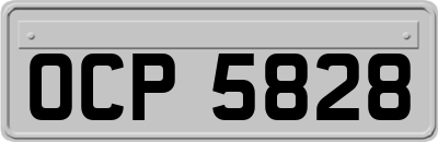 OCP5828