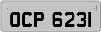 OCP6231