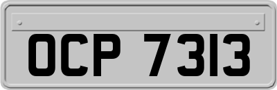 OCP7313