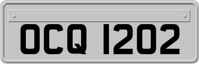 OCQ1202