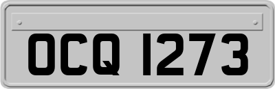 OCQ1273