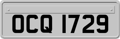 OCQ1729